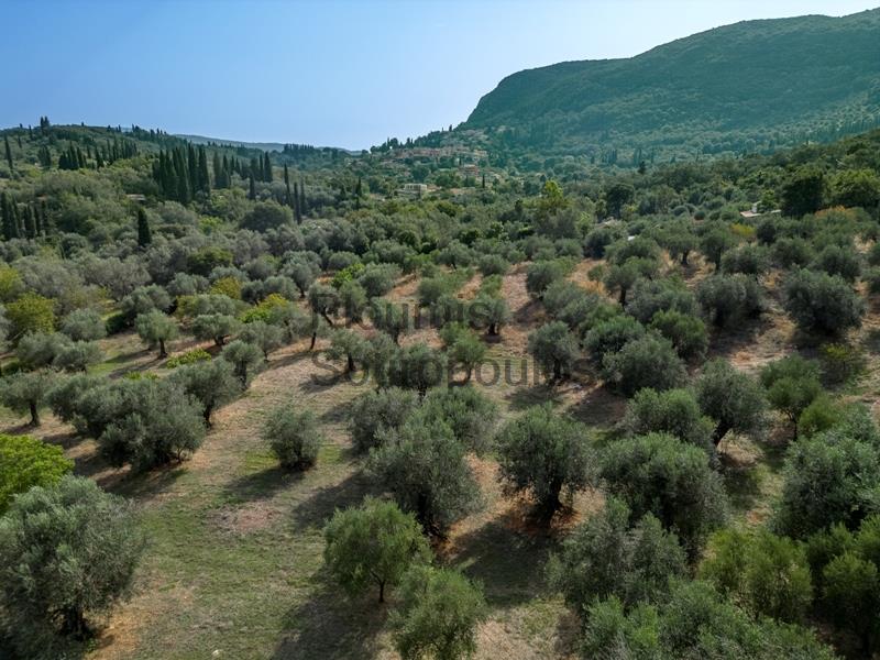 Country Estate in Corfu Greece for Sale