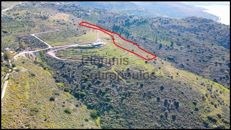 Land Plot with Open Views and a Permit, Aegina Greece for Sale