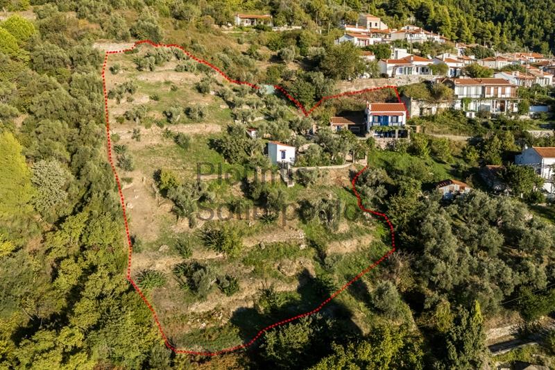 Η Όαση ενός Καλλιτέχνη στην Σκόπελο, Σποράδες Ελλάδα προς Πώληση