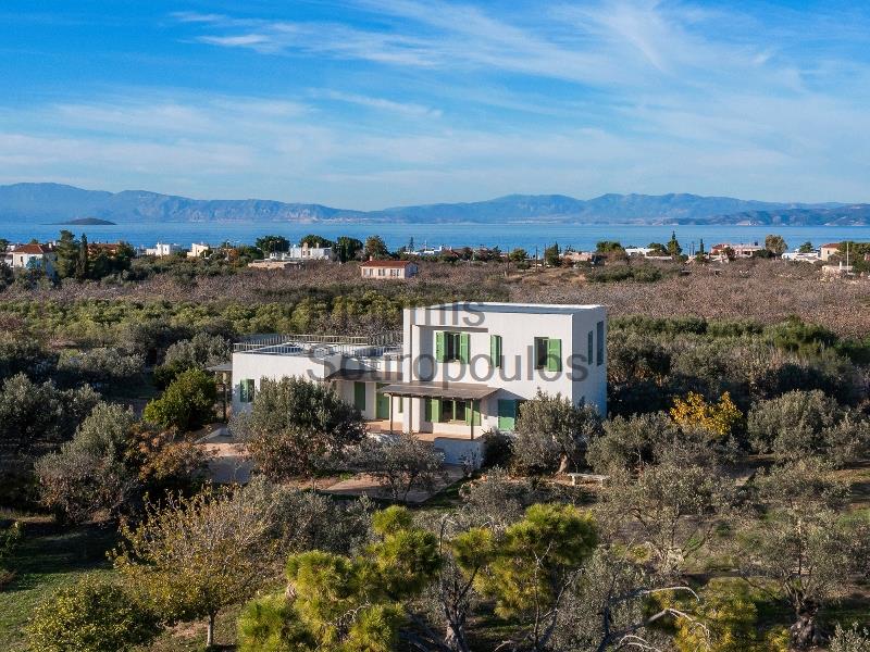 A Contemporary Residence in Aegina Greece for Sale