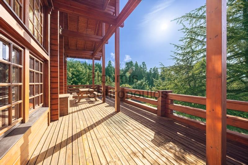 Charming Chalet in Mount Parnassus Greece for Sale