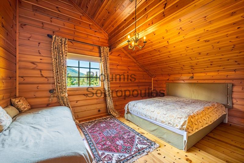Charming Chalet in Mount Parnassus Greece for Sale