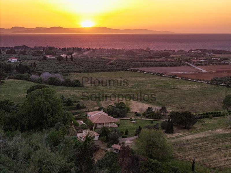 Charming Wine Estate, Western Pelopoonese