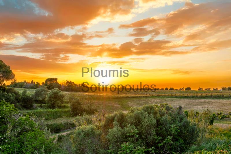 Charming Wine Estate, Western Peloponnese Greece for Sale