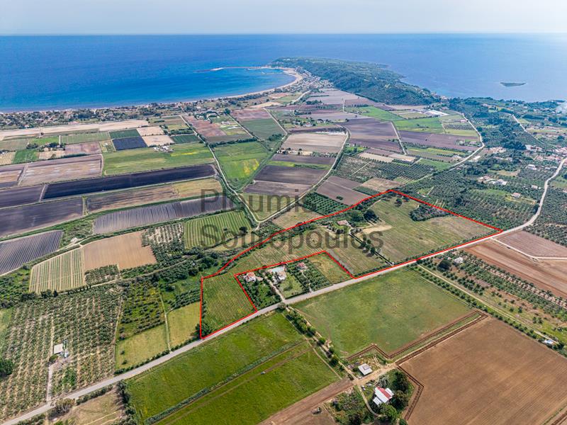 Charming Wine Estate, Western Peloponnese Greece for Sale