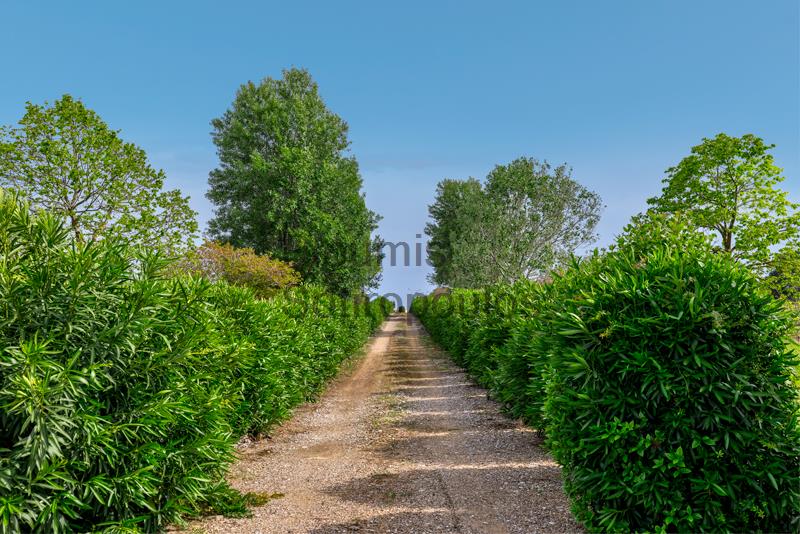 Charming Wine Estate, Western Peloponnese Greece for Sale