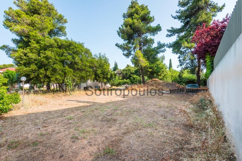Plot of Land in Kastritsa, Nea Erythrea  Greece for Sale
